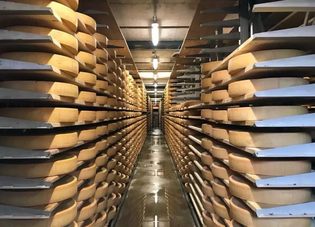 用哪款奶酪做蛋糕最好,做面包用哪款奶油奶酪