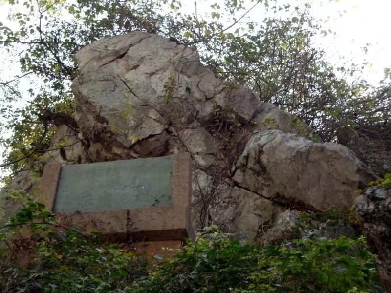 江山烟里面有药材吗,江山烟系列有哪些