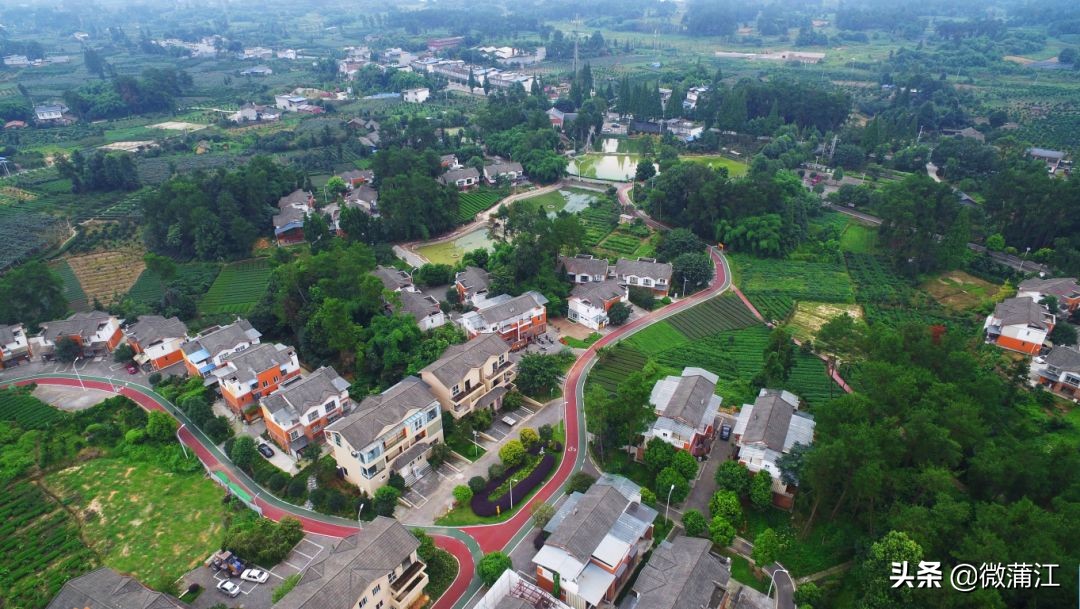 探访深山竹林倍感神清气爽,蒲江遥望雪山感受诗意栖居