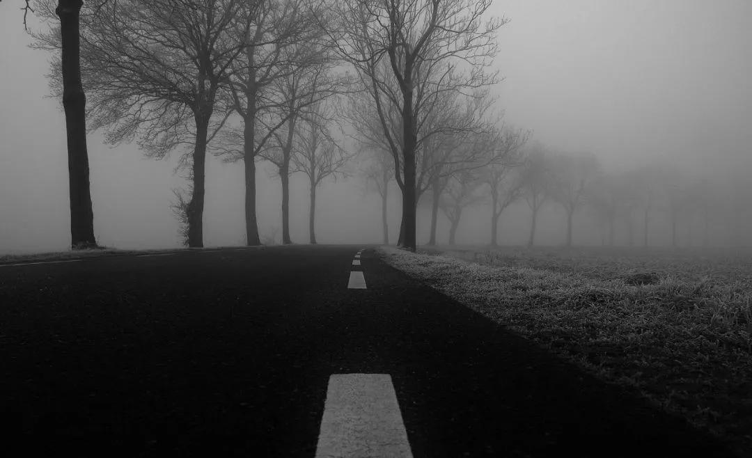 历史式热搜榜排名,2022年10月份热搜榜排名