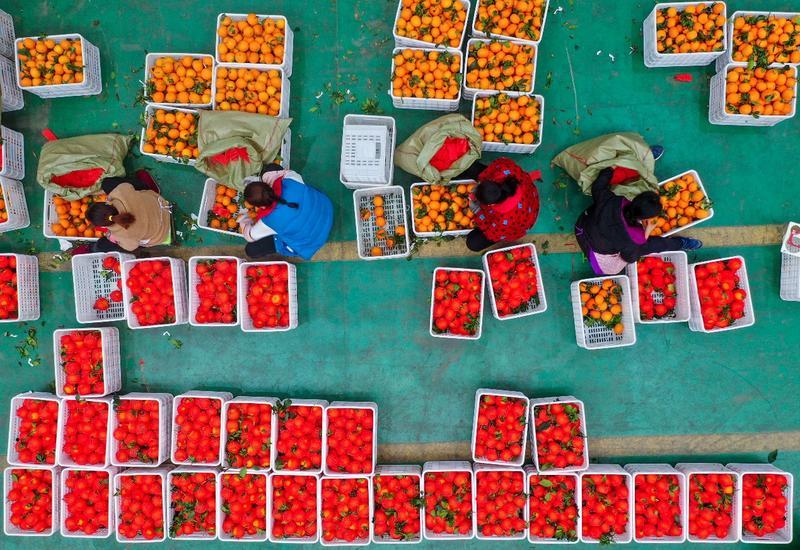 家乡好物带货直播,家乡好物直播视频