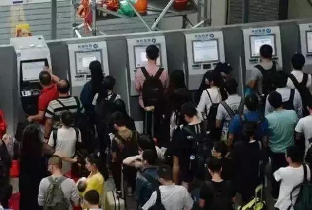 这才是董卿真实的样子,董卿跪地为什么获得网友的称赞