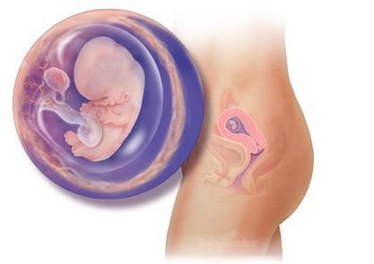 胎儿最怕听到的3个声音,胎儿听到外界声音是怎样的