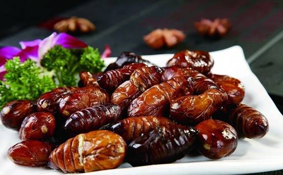 胎盘真可以吃吗,胎盘真能吃吗