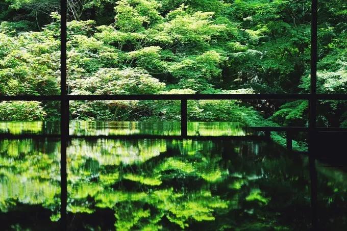 不一样的大阪三日游，瑠璃一束光，值得一来再来