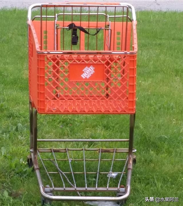 国际出行攻略,新西兰旅游攻略租车