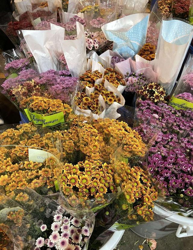 成都最值得逛的花卉市场,成都可以逛的花市