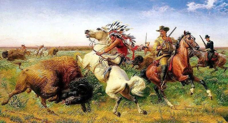 美国野生野牛,美国猎野牛