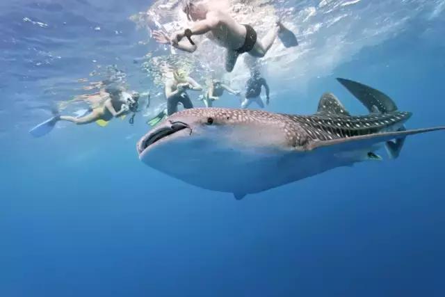 天津出发坐飞机2日游旅游推荐,天津出国旅游机票