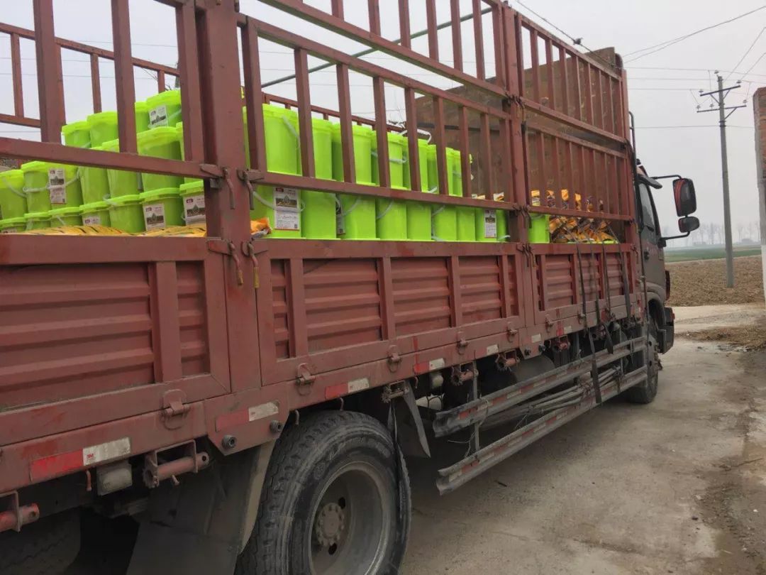 一浇水就没虫!真的吗?智能缓控释颗粒,向您推荐的五大理由