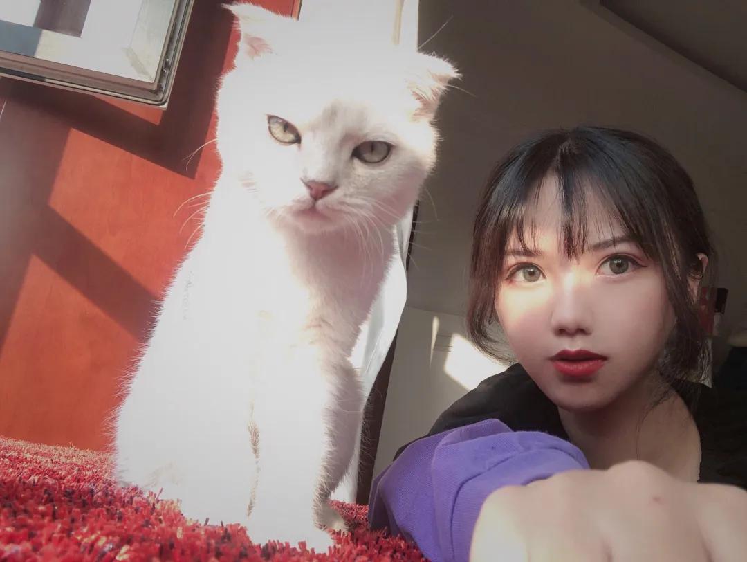 和宠物交流说什么,宠物谈恋爱怎么回事