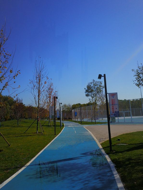 廊坊三叶公园项目信息,廊坊三叶公园附近