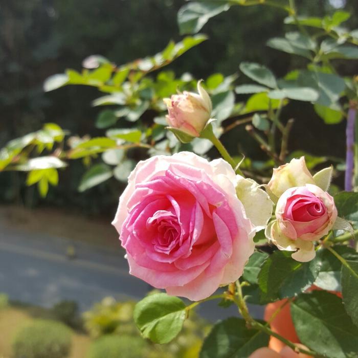 安装阳台窗户注意事项有哪些,装阳台注意事项和细节