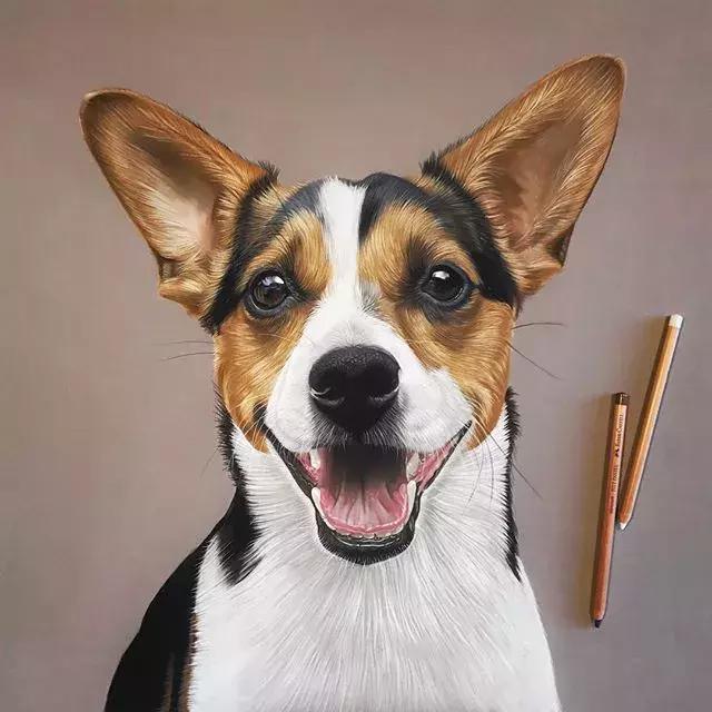 彩铅不会涂色怎么办,彩铅绘画干货