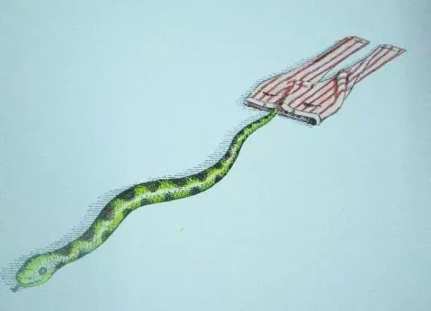 动物绝对不能穿衣服的绘本感言,比较好看的动物绘本推荐