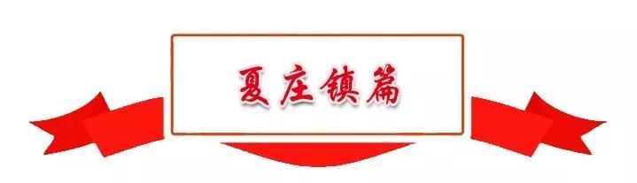 聚焦新旧动能转换聚焦乡村振兴,聚焦枣庄新旧动能转换项目推进会