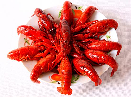 买小龙虾选中青还是小青,红壳青壳小龙虾