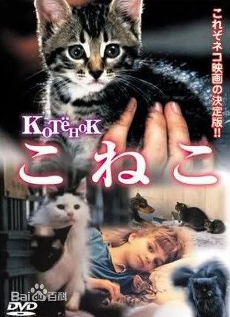 养猫人必看的电影,盘点九部高分猫咪电影