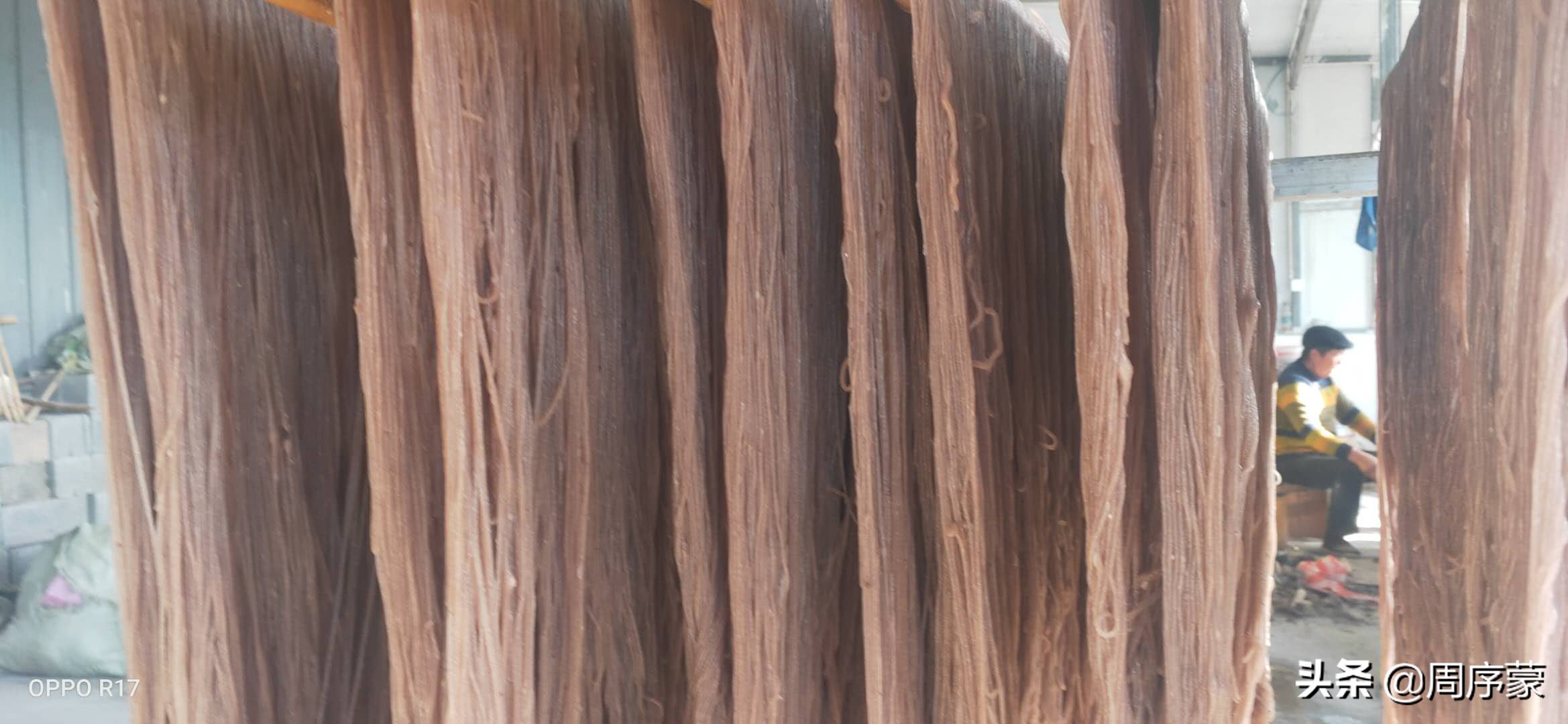 苏北双港盛产山芋和山芋粉条，流传下许多传奇的故事