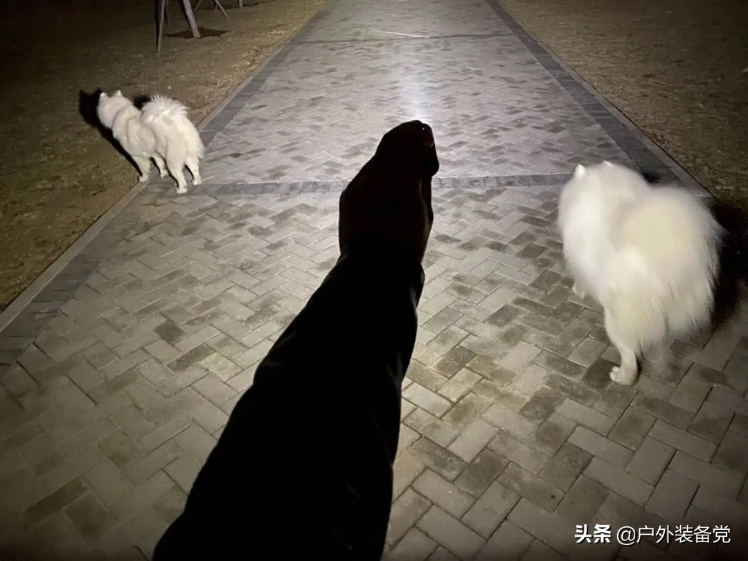 渐进式创新！无线充电手电OlightBaton3