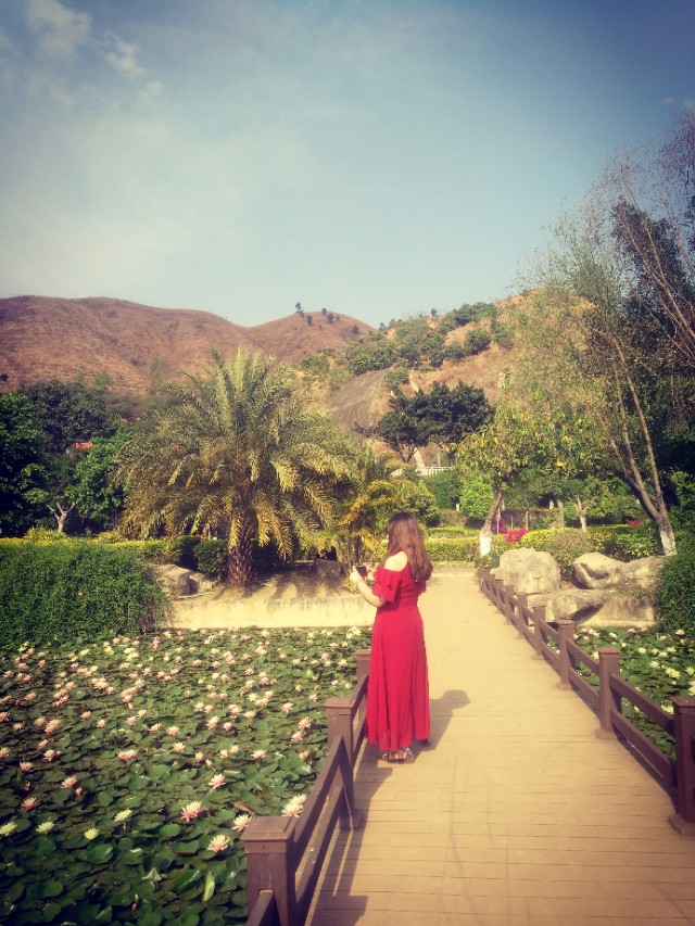 春天的味道,春天的味道歌曲