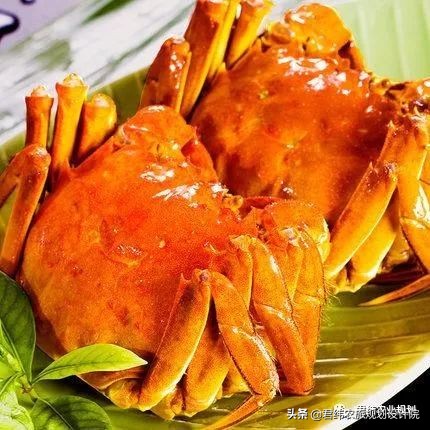 怎样养殖螃蟹才能赚钱,如何养殖螃蟹繁殖下一代