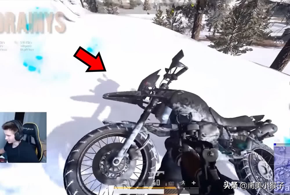 绝地求生的海里有什么？网红“鲲”上榜，你见过几个？