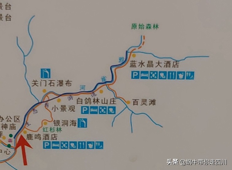 带小朋友出去看小动物,带小孩去海洋动物园