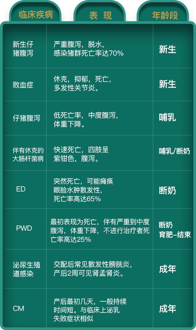 大肠杆菌病机理,大肠杆菌所致疾病