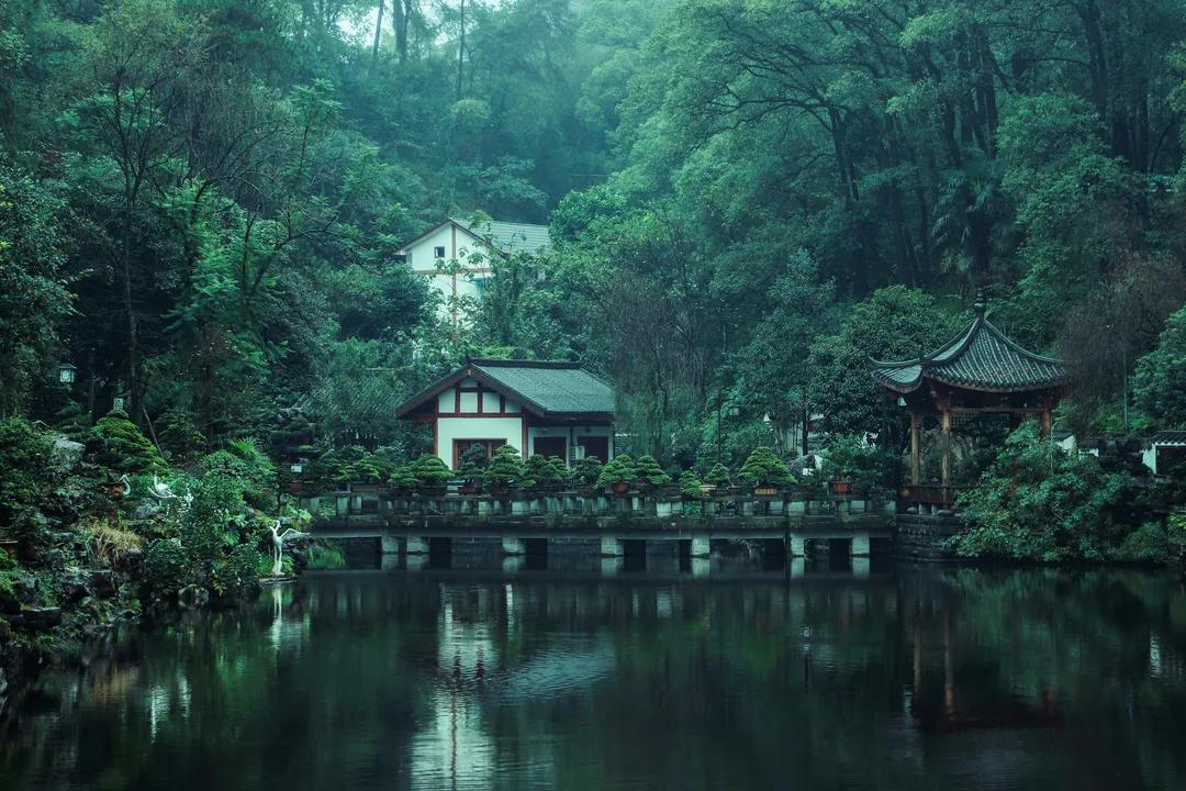 重庆市南岸区:“半城山水半城绿”品质生活更宜居