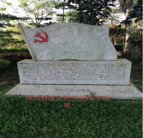 海口市演丰镇旧址,海口演丰镇历史背景