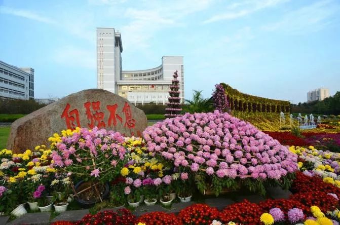 上海大学真正实力如何,上海大学被低估的专业排名