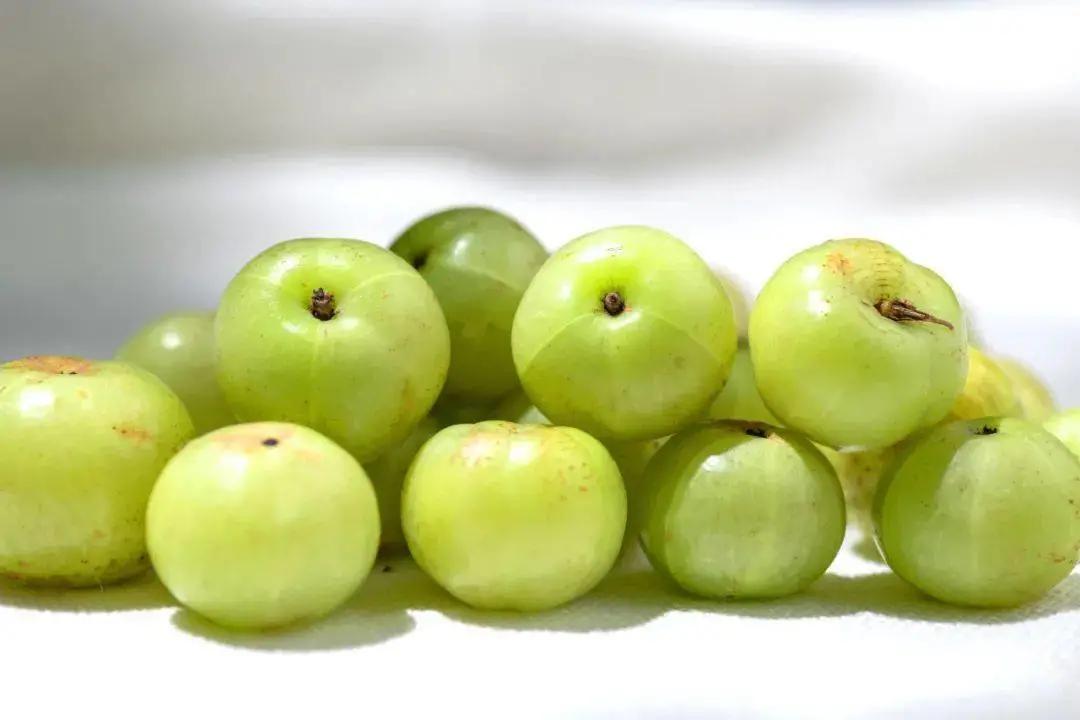 最近火爆的油柑,浓缩的油柑汁做饮品配方