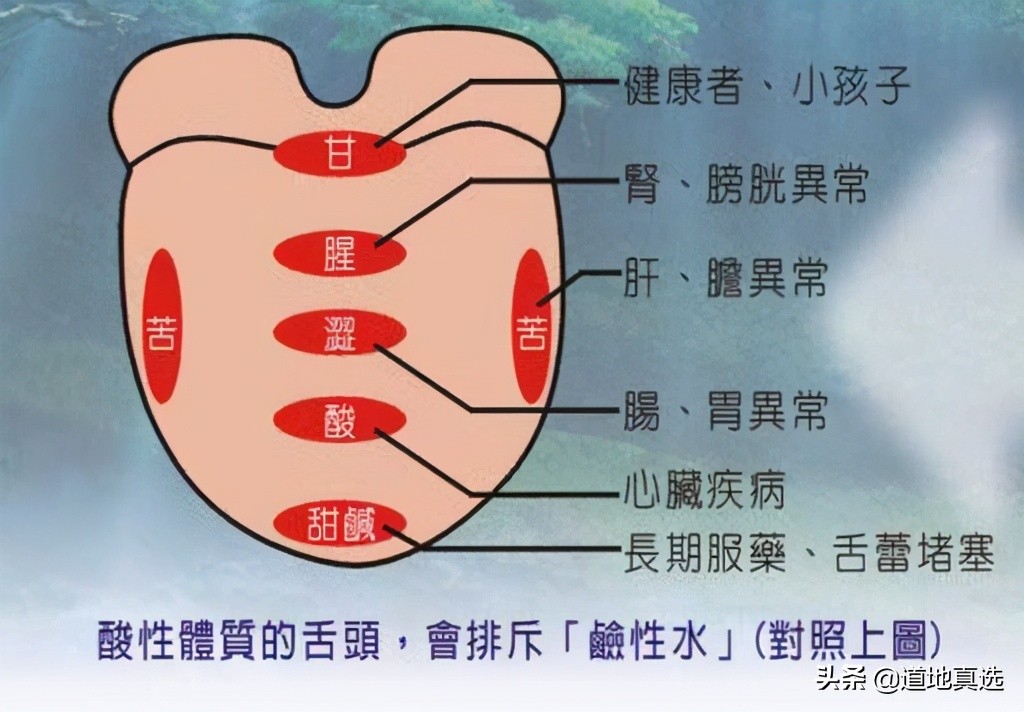 珍贵的舌诊图谱，看舌头知健康，人手一份！你也能快速识别疾病