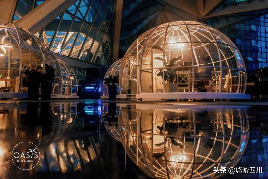 theoasis是哪部动漫的主题曲,theoasis日照