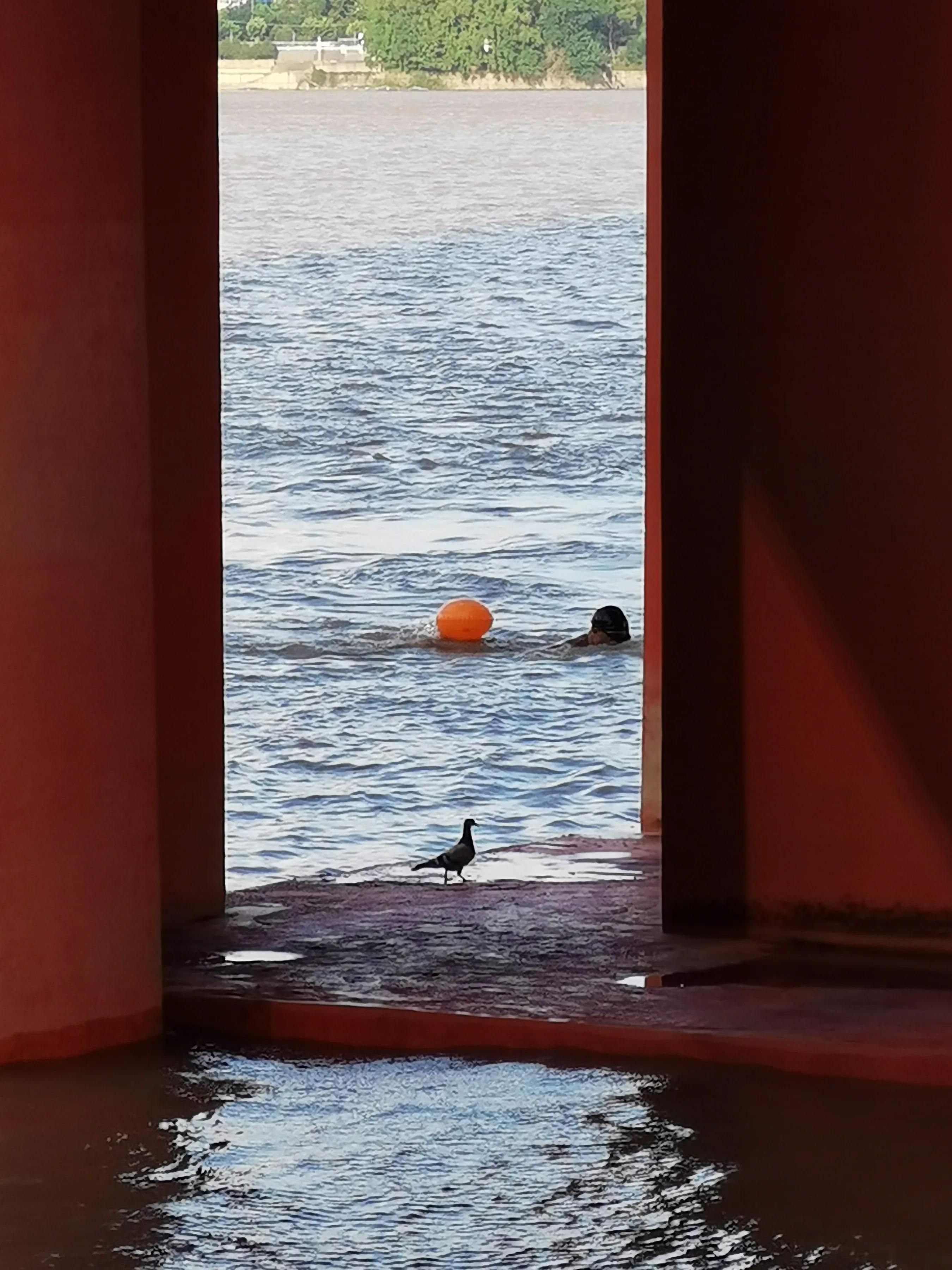 手拍世界手机摄影平台,手机摄影作品集大全集