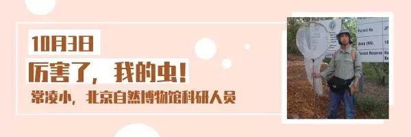 除了游山玩水还可以去哪里玩,除了去厦门还去哪里玩