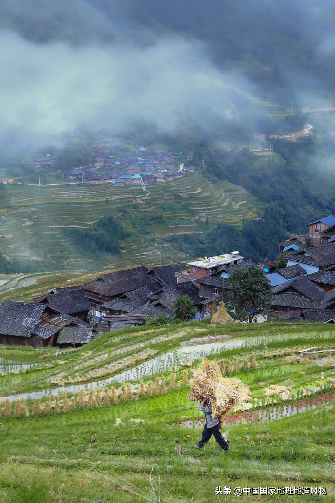 黑龙江和山东谁是农业大省,黑龙江和河南谁是第一粮仓