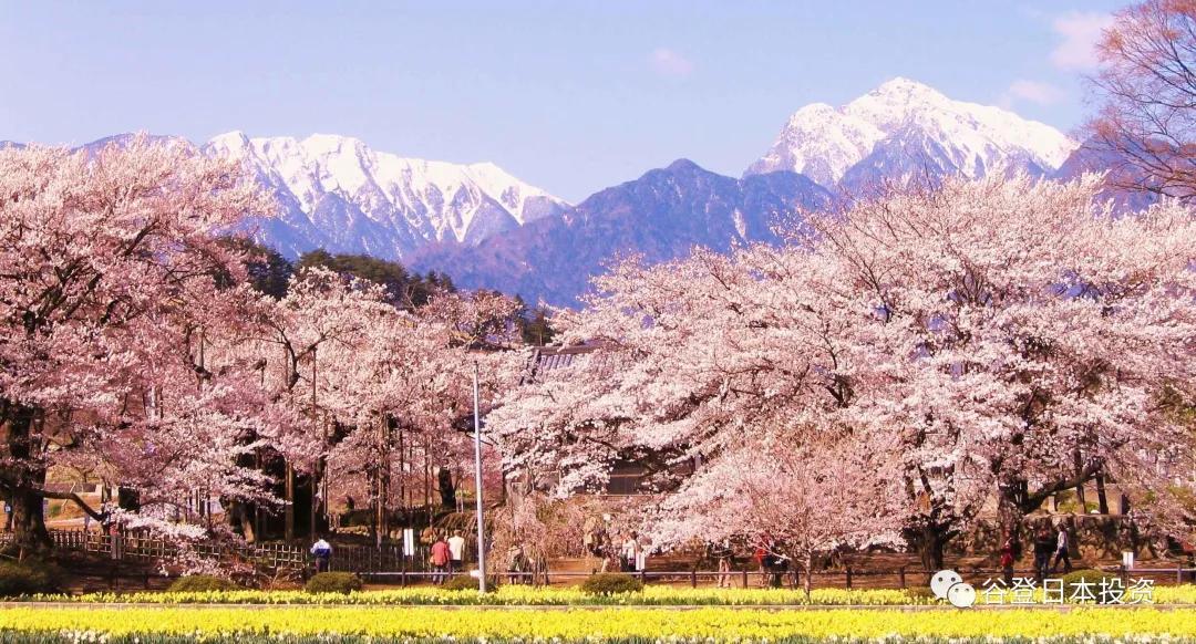 「谷登知识星球」浴衣、烟火,在祭奠中拥抱夏日吧