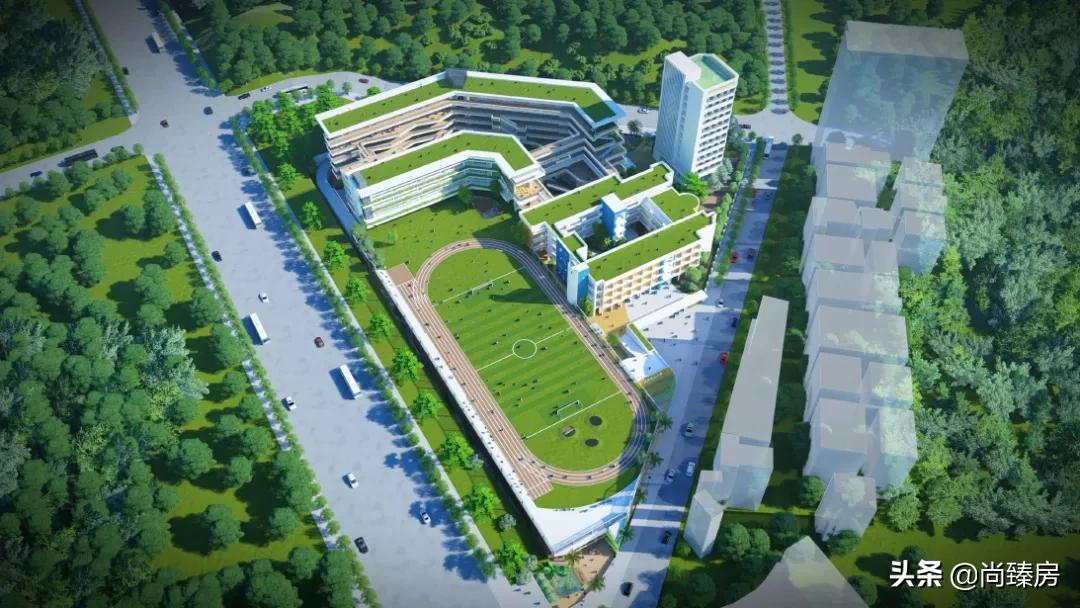 深圳西丽小学学位充足吗,深圳南山西丽学位紧张吗