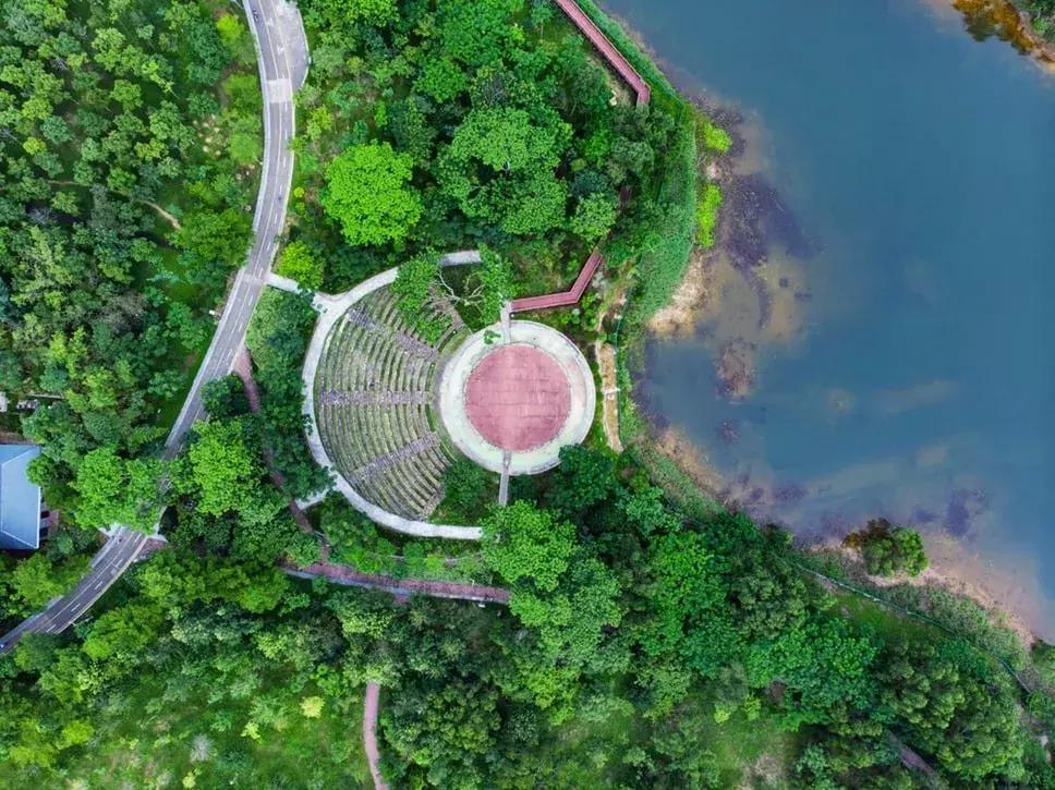 来了就是深圳人女声版,深圳本地人和深圳人的区别