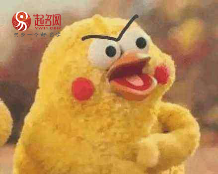 比较搞笑有内涵的微信网名,最火微信搞笑网名