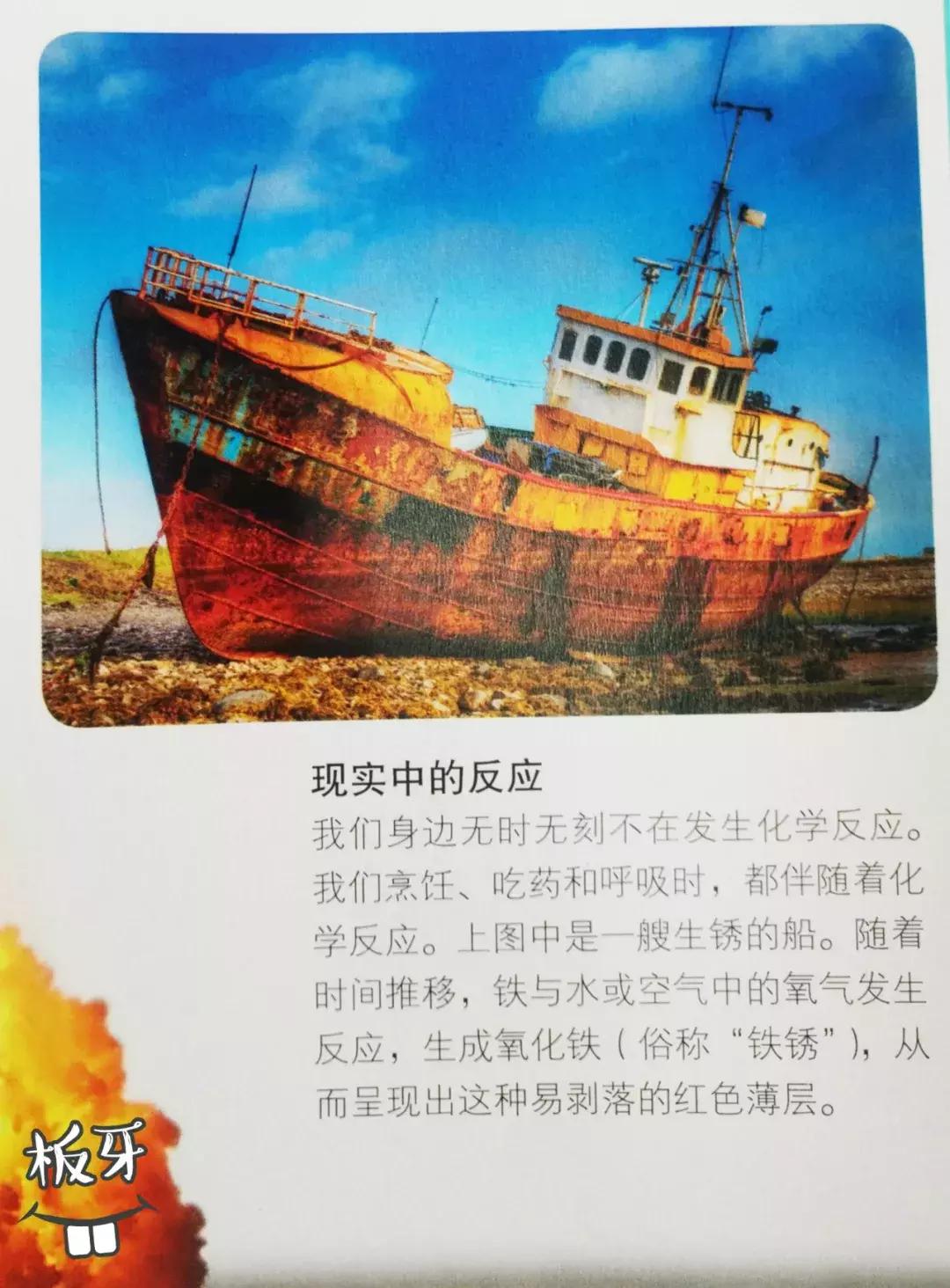 被封神的DK儿童科普书籍，到底哪些值得读？建议家长入手前看这篇