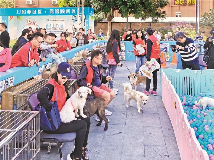 深圳福田区城管局在什么地方,深圳市城管局福田分局