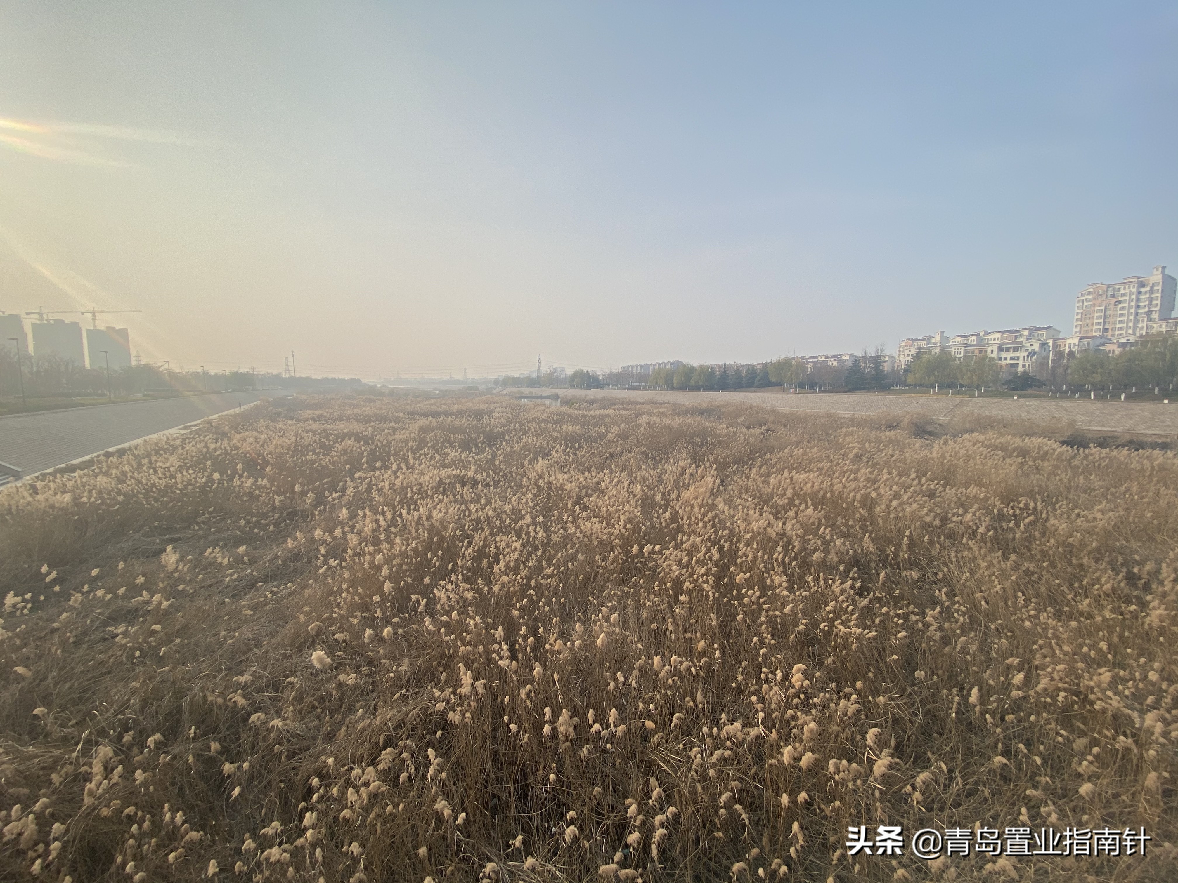 青岛李沧北发展,青岛李沧北