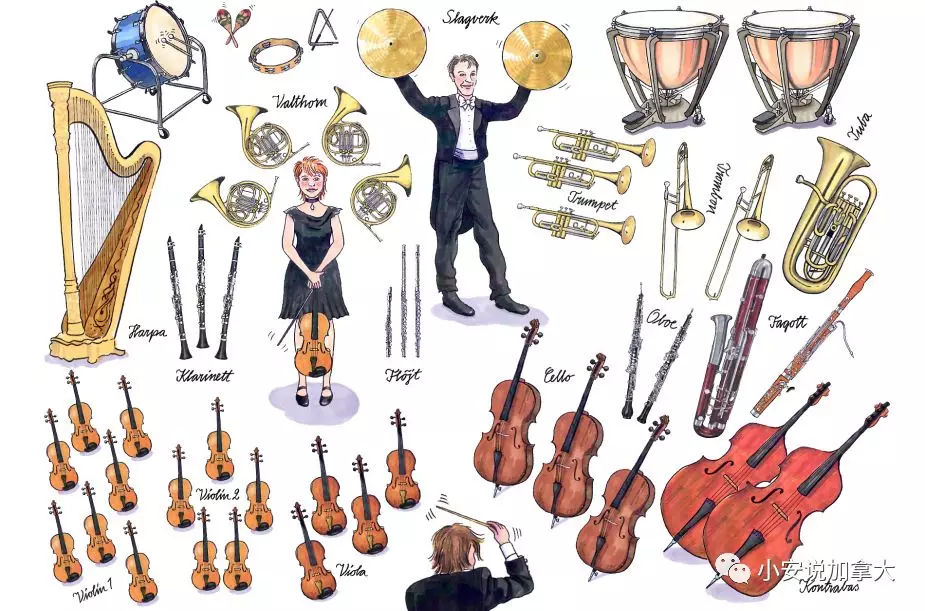 几岁留学最佳时间,几岁留学出国好