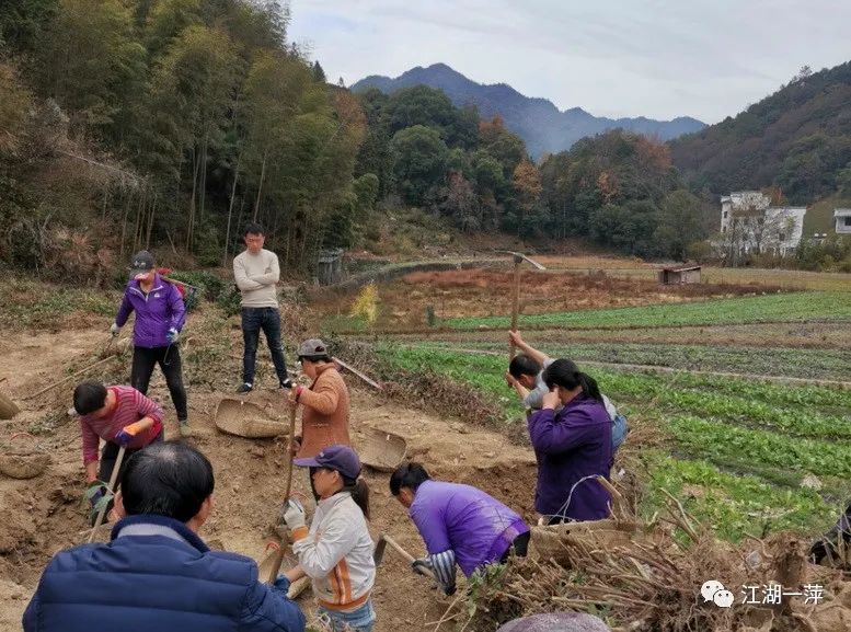 婺源龙尾山砚石,婺源砚石