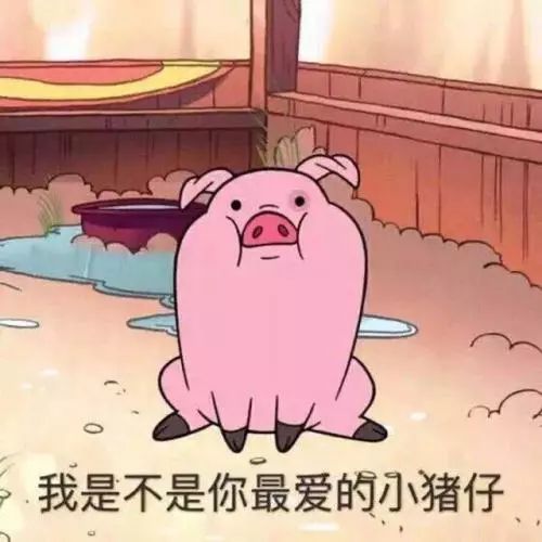 gucci猪年新款,guccilv狗年