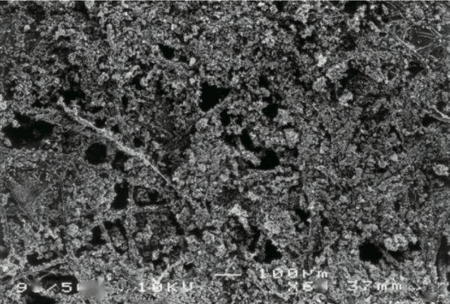 空滤不换会对发动机造成什么影响,空滤对油耗的影响大吗