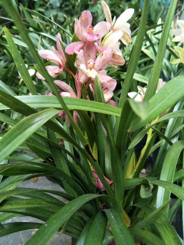 销售成功第一步是如何销售自己,销售技巧幽默一点活跃销售气氛